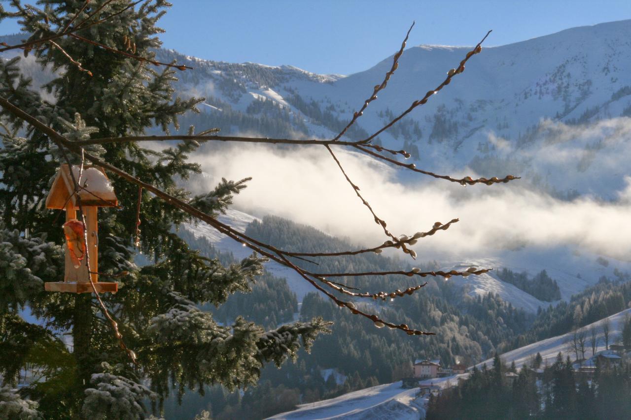 Ferienwohnung Klappacher Maria Alm am Steinernen Meer Exterior photo